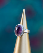 Ultraviolet Vision