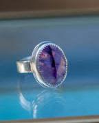 Ultraviolet Vision
