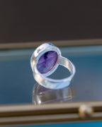 Ultraviolet Vision