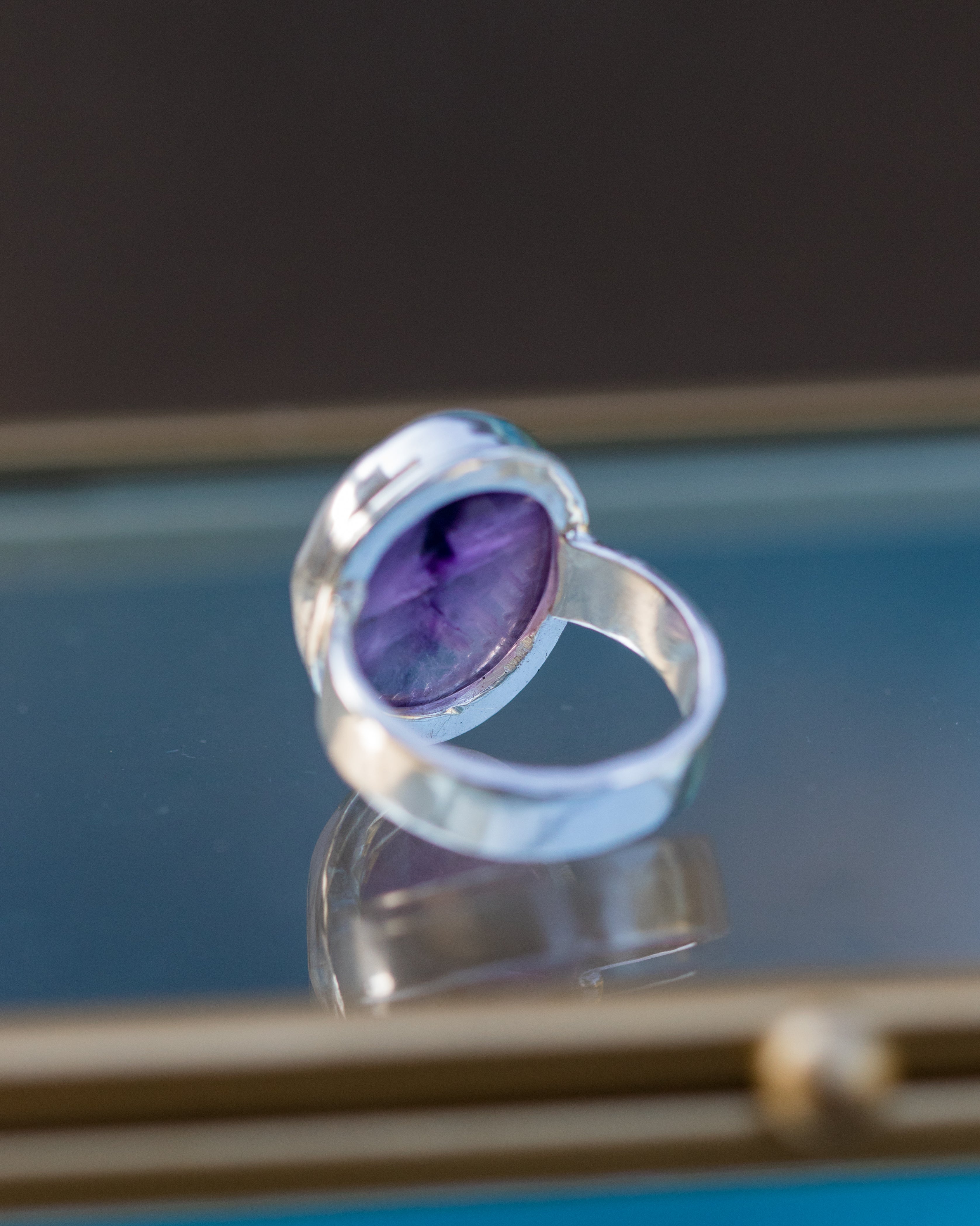 Ultraviolet Vision