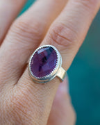 Ultraviolet Vision