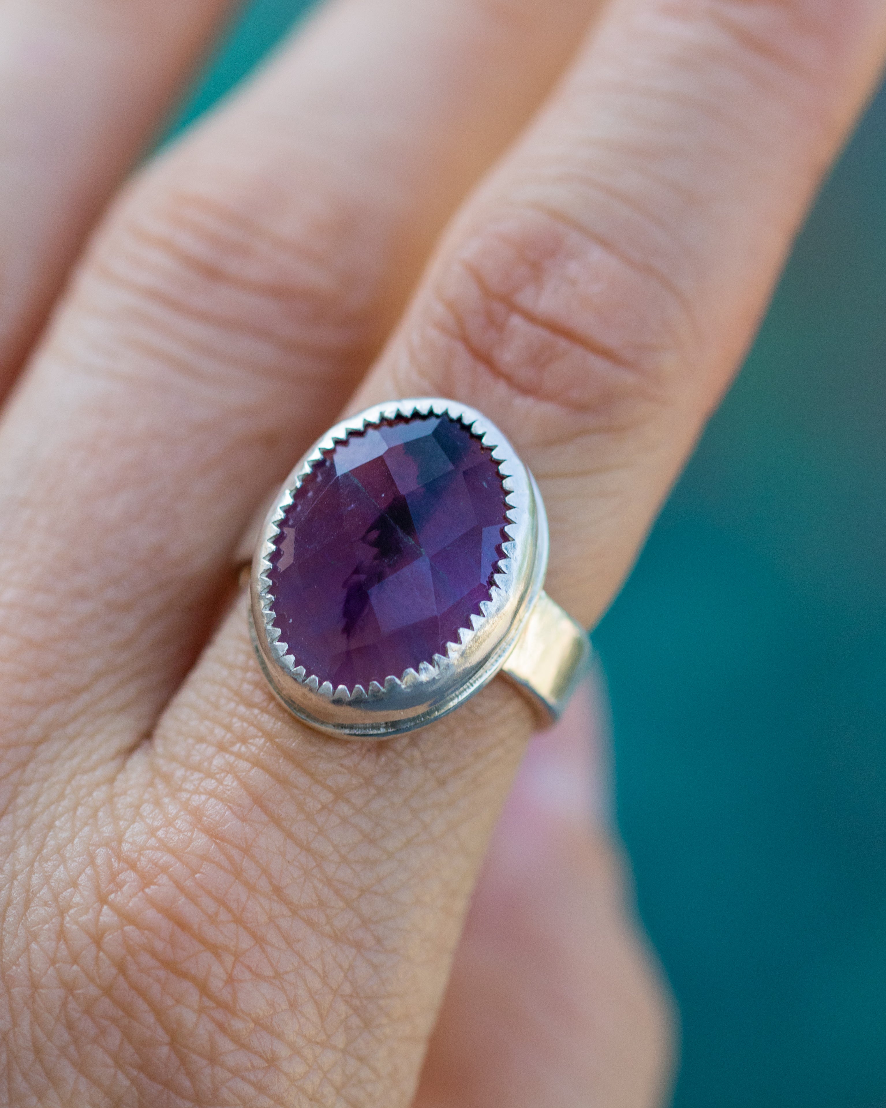 Ultraviolet Vision