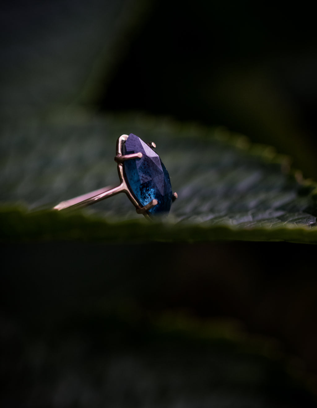 Kyanite Prong Set (2)