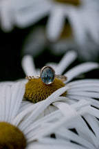 Kyanite Twist Band (1)