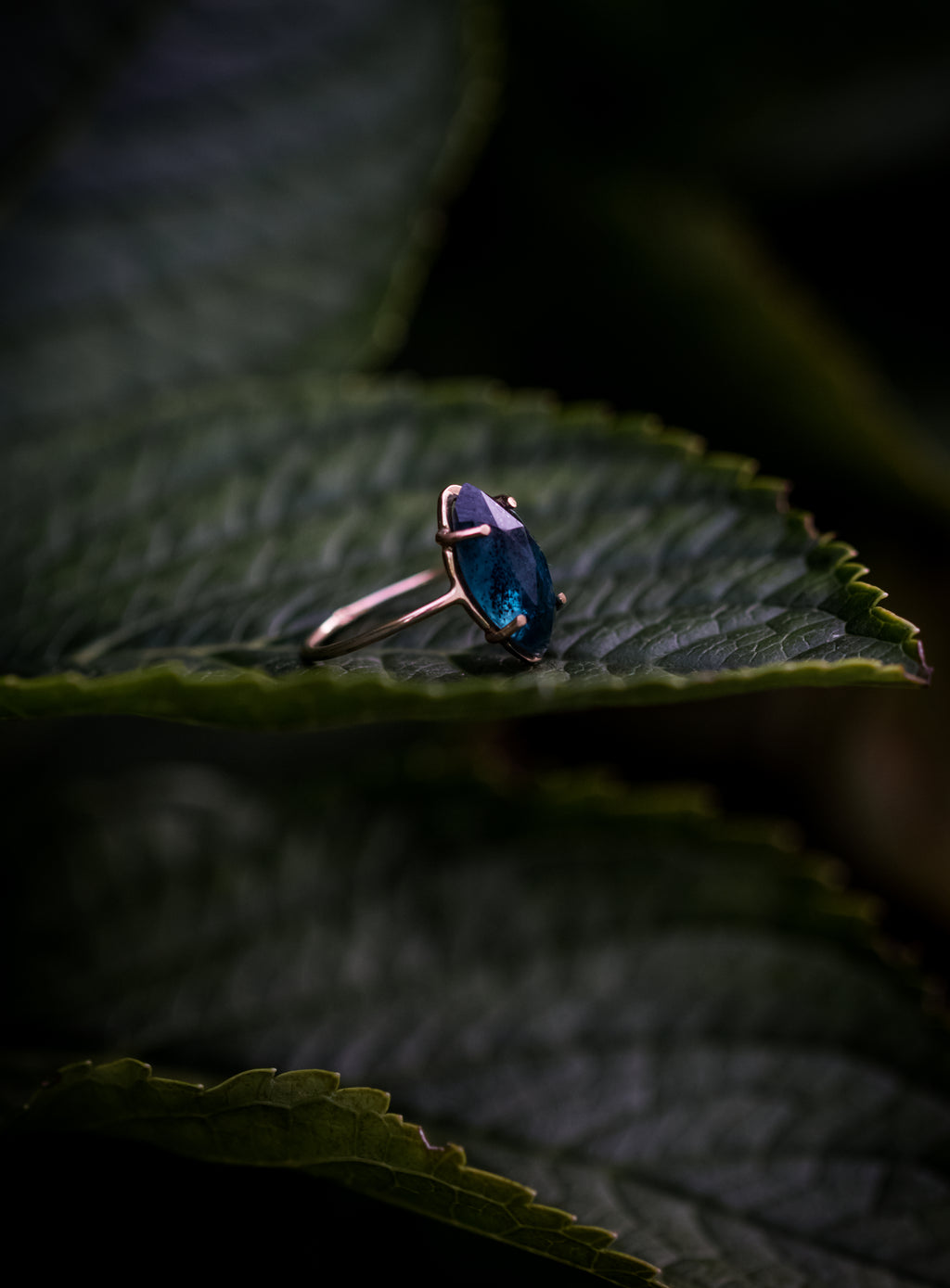 Kyanite Prong Set (2)